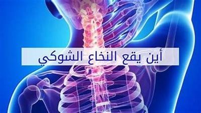 النخاع الشوكي.. اسبابه وانواعه واعراض الاصابة به