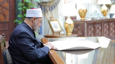 شيخ الأزهر: لو استمر العدوان على غزة فلن يتبقى لنا بيئة نحافظ عليها