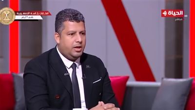 رئيس أمناء الشباب المصري: حالات الحشد في التصويت بالخارج أشبه بعرس انتخابي 