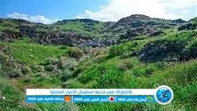  ظاهرة نمو النباتات في مكة المكرمة: هل تُعتبر من علامات الساعة؟