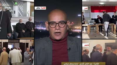 باحث: إقبال المصريين بالخارج على الانتخابات سابقة ديمقراطية لا مثيل لها 