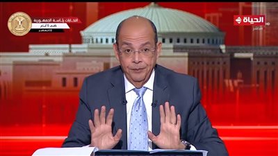 شردي: البرلمان الأوروبي استشعر الحرج بعد دعوى جنوب إفريقيا ضد إسرائيل