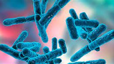 «تشنجات وإسهال دموي».. تفاصيل ما يحدث بين صفوف الاحتلال في غزة