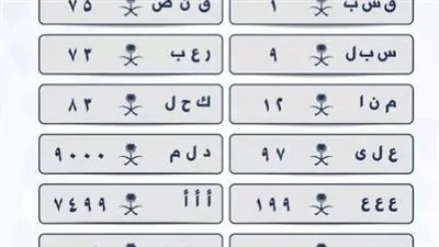 بدأ اليوم.. خطوات الاشتراك في مزاد أبشر للوحات حرف وحرفين