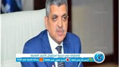 أسامة ربيع: الدفع بأربع قاطرات لسحب سفينة الحاويات ONE ORPHEUS بعد تعطلها