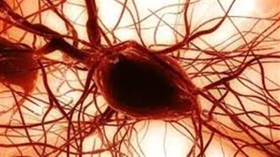 الكشف مصدر محتمل للخلايا الجذعية في أدمغة المرضى.. ما هو؟