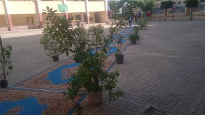 بالسجاجيد والأشجار.. مدرسة الوراق الثانوية تتزين لاستقبال الناخبين 