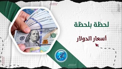 سعر الدولار اليوم الإثنين مقابل الجنيه في البنوك المصرية