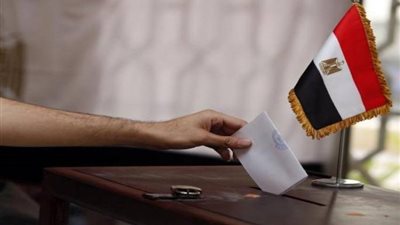 مدير حملة السيسي: لأول مرة نشاهد الناخب المصري قبل فتح اللجان بساعات 