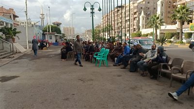 تخصيص مقاعد لكبار السن أمام لجنة مغتربين حي العجمي بالإسكندرية (صور)