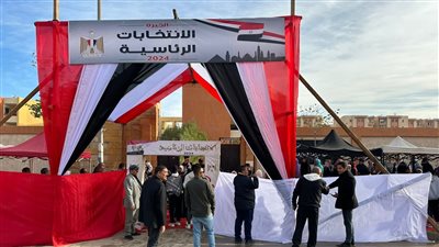 على الكراسي المتحركة.. مسنون يدلون بأصواتهم في الانتخابات الرئاسية 2024 (صور)