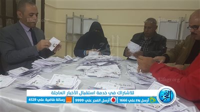 عاجل.. تفوق للسيسي بنتائج فرز الأصوات الأولية في دائرتي المنصورة ودمنهور