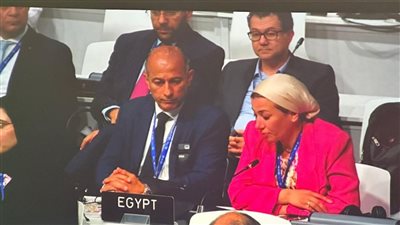 وزيرة البيئة تهنئ دولة الإمارات العربية على نجاح مؤتمر المناخ COP28