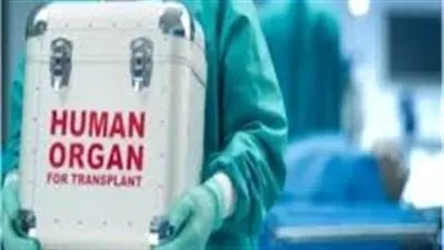 رفض الأعضاء المزروعة..مشكلة تهدد نجاح عمليات الزرع