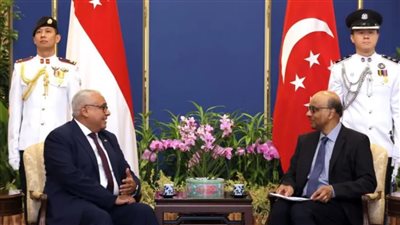 رئيس سنغافورة: مصر أكبر دولة بالشرق الأوسط.. وحريصون على تطوير العلاقات معها