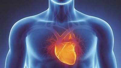 الوقاية من الأمراض المزمنة: استثمار في صحة مستقبلك