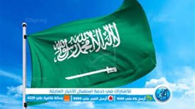 وصول طائرة سعودية جديدة إلى العريش لتقديم الدعم للفلسطينيين في غزة