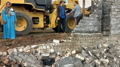 إزالة 837 حالات تعد على الأراضي الزراعية في الغربية (صور)