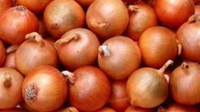 شعبة الخضروات والفاكهة: سعر البصل سيخضع لآليات العرض والطلب