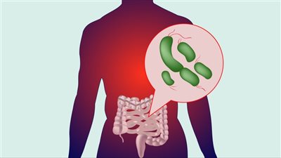  البكتيريا: بين النافعة والضارة - توازن حيوي في عالم الكائنات الدقيقة 