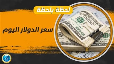 سعر الدولار اليوم.. العملة الأمريكية تنهار في السوق السوداء