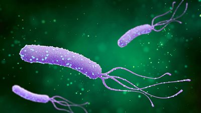 البكتيريا الحلزونية: تقنية فريدة واستخدامات مبتكرة 