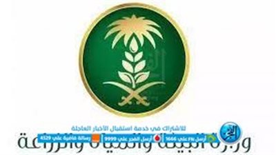 السعودية... بيئة مكة تُطلق منظومة إلكترونية لتتبع حفر الآبار