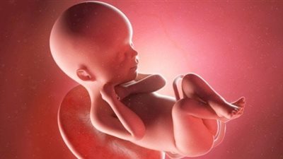 تحذيرات الحمل.. فهم أعراض نقص ماء الجنين والتدابير الوقائية