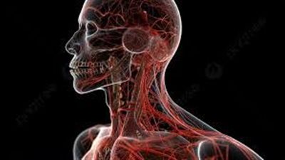 ابتكارات في علاج اضطرابات الدم: رؤية مستقبلية لصحة الدم والأوعية الدموية