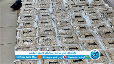 مخدرات باليوسفى.. جمارك سفاجا تحبط محاولة تهريب أقراص مخدرة بـ100 مليون (صور)