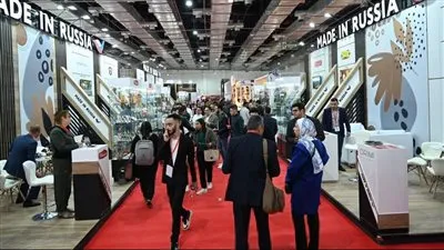 20 مليون دولار.. حصيلة مفاوضات روسيا التجارية خلال مشاركتها بمعرض 