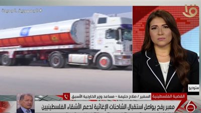 مساعد وزير الخارجية الأسبق: مصر لها دور محوري في غزة (فيديو)