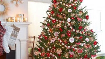 احتفالات الكريسماس وشجرة عيد الميلاد.. من أين جاءت الفكرة؟