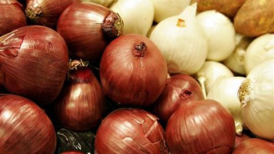 عاجل| انخفاض مفاجئ في أسعار البصل 30 جنيها دفعة واحدة.. سعر البصل الآن قبل الشراء