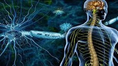 مرض باركنسون.. اضطراب حركي تدريجي( تعرف عليه )