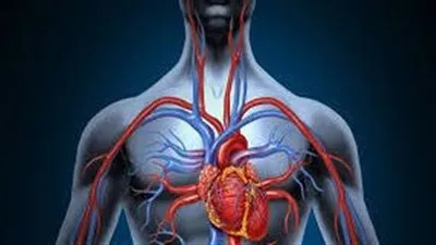 جراحة الأوعية الدموية.. أمل جديد للمرضى الذين يعانون من اضطرابات الأوعية الدموية