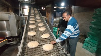 إحالة 155 محضرا بالمخالفات التموينية للنيابة العامة في الدقهلية 