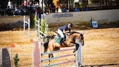 عاجل.. مجاملات وإسكات أصوات.. مخالفات هشام حطب تثير أزمة داخل اتحاد الفروسية