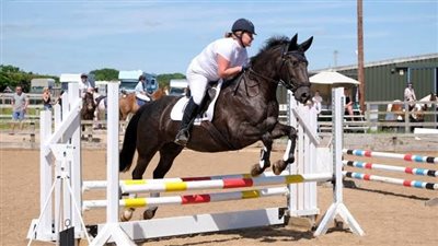 بعد تصدرها التريند.. كل ما تود معرفته عن رياضة الفروسية البارالمبية