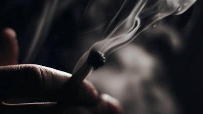 تأثير الدخان على البيئة: تلوث الهواء والأثر البيئي السلبي