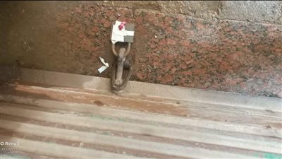 غلق مغسلة سيارات وفرن دوكو لإزعاج المواطنين والتعدي على الطريق العام بالعمرانية