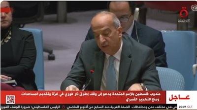 مندوب مصر بالأمم المتحدة: لا بد من آلية أممية لمراقبة نفاذ المساعدات الإنسانية لغزة (فيديو)