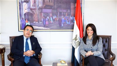  وزيرة التعاون الدولي تبحث تطوير التعاون مع 