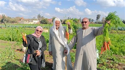 أصناف للمخللات وآخرى للبيع.. فلاحو المنوفية يكشفون لـ 