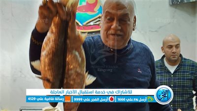 أول ظهور لـ كاڤيار الغلابة قبل احتفالات رأس السنة.. بطارخ الفسيخ تتحدى برد الشتاء في البحيرة (فيديو)