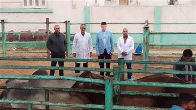 بيطرى الغربية تحصين 1425عجل ضد مرض الجلد العقدى (صور)