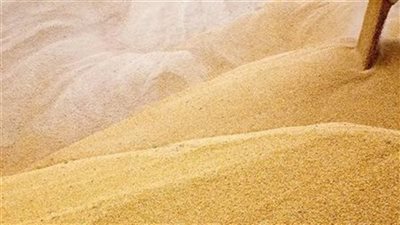 السعودية  تشتري 1.353 مليون طن قمح في مناقصة