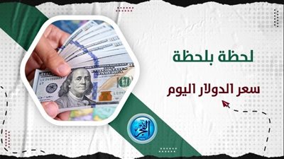 بعد تثبيت سعر الفائدة.. سعر الدولار مقابل الجنيه المصرى اليوم في محافظة القليوبية