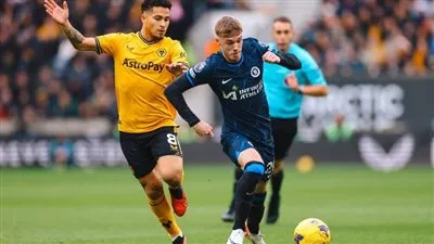 تشيلسي يخسر أمام وولفرهامبتون في الدوري الإنجليزي