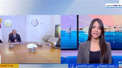 خبير: مخصصات برامج الحماية الاجتماعية غير مسبوقة في تاريخ الموازنة العامة